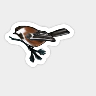 Chestnut-backed Chickadee Sticker